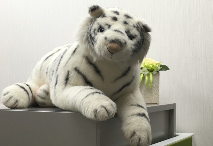 ホワイトタイガーのゴンちゃん（本名：ゴンザレス）
